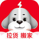 狮子影评